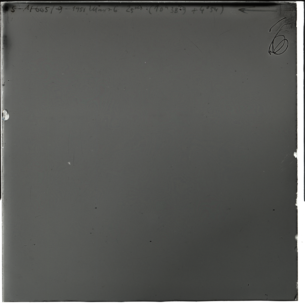 Plate preview