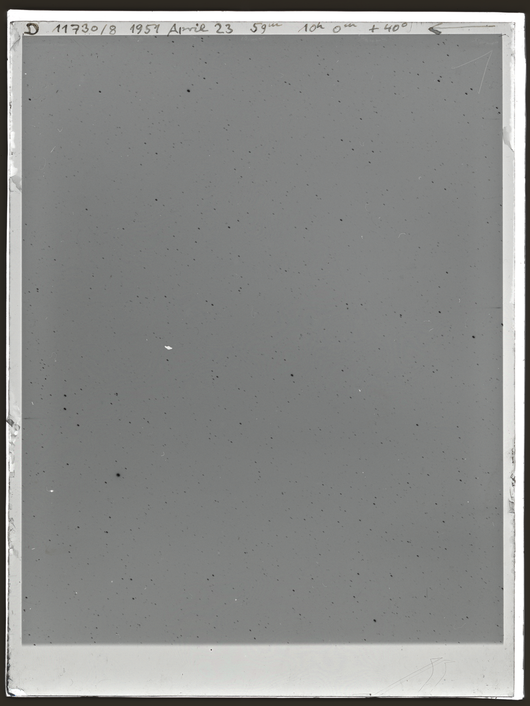 Plate preview