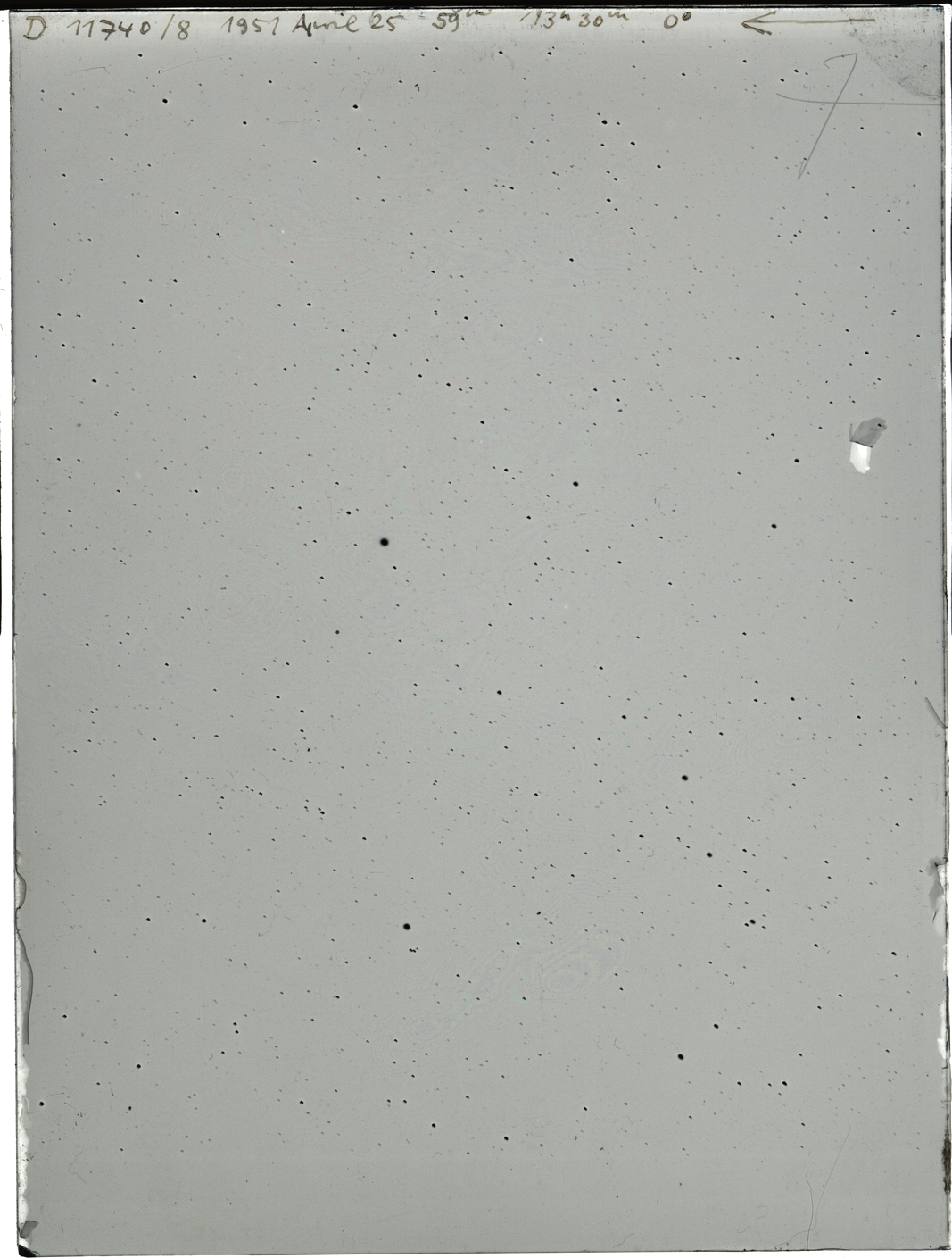 Plate preview