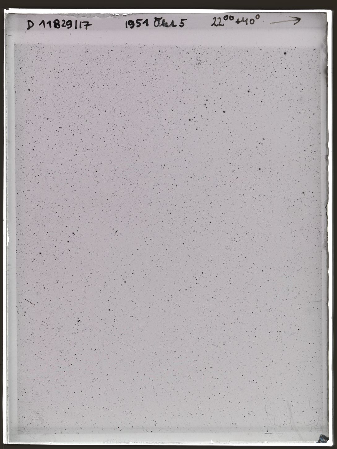 Plate preview