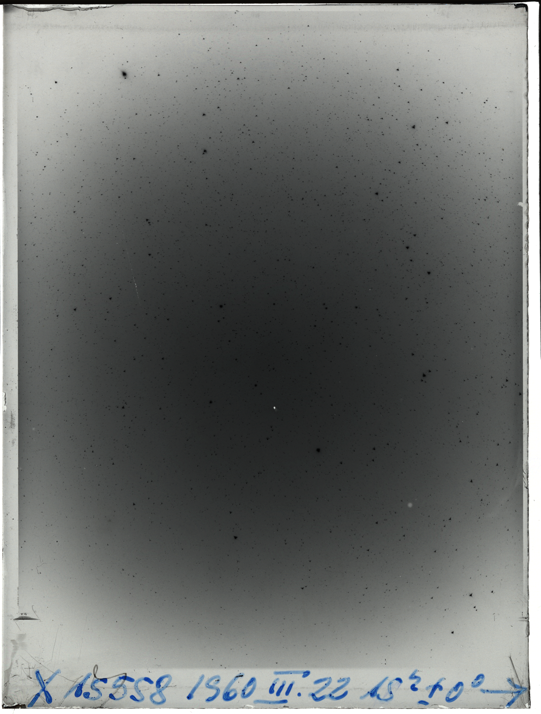 Plate preview