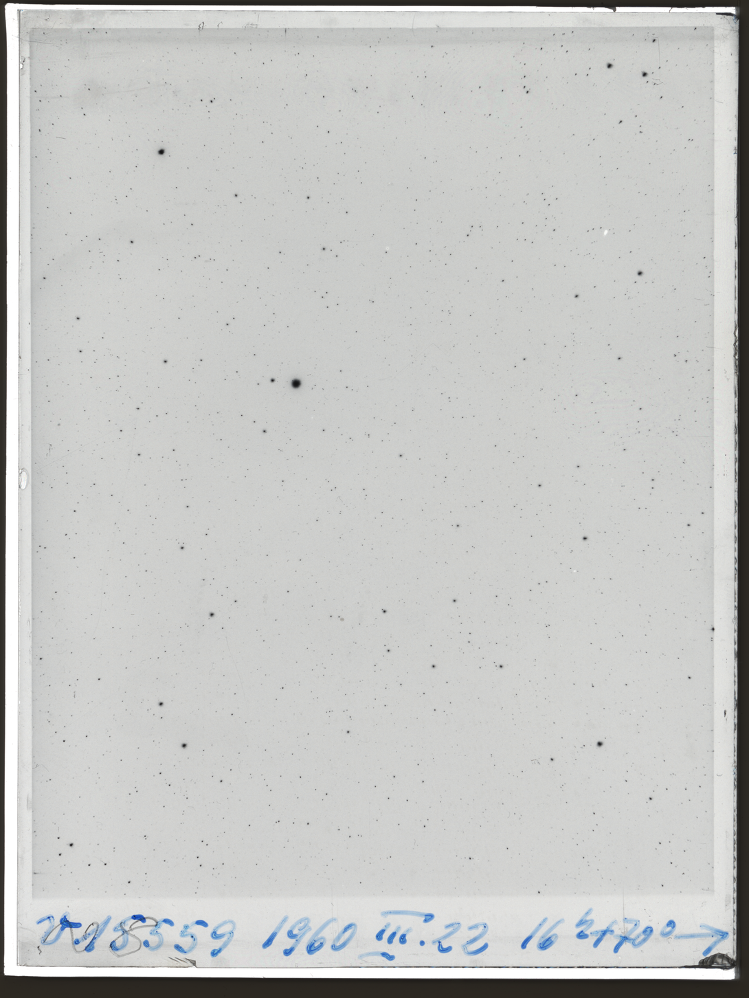 Plate preview
