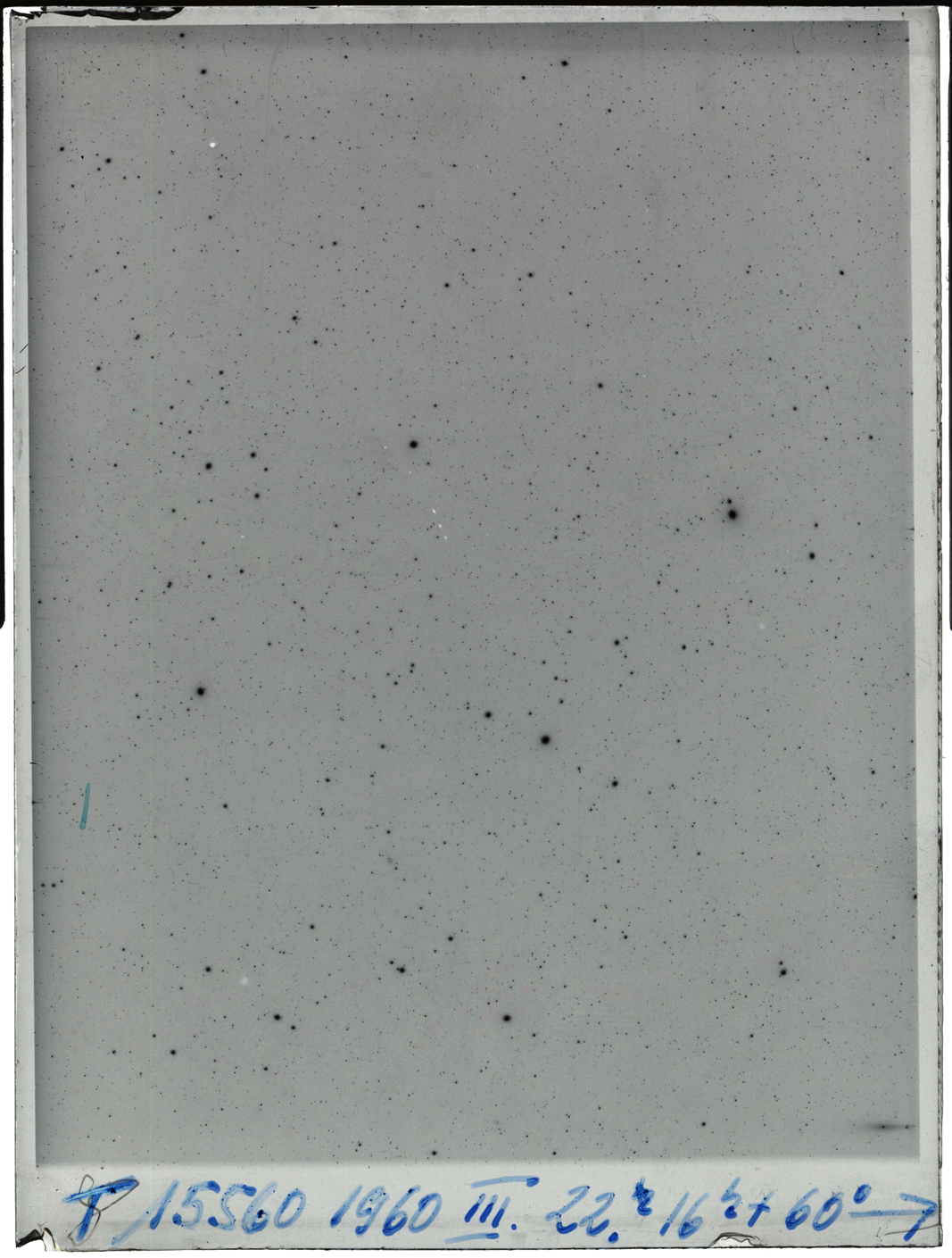 Plate preview