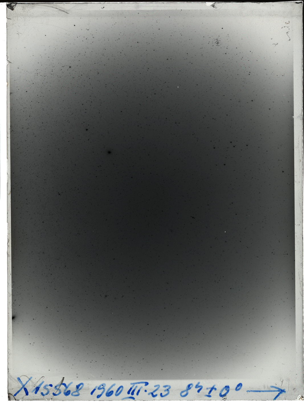 Plate preview