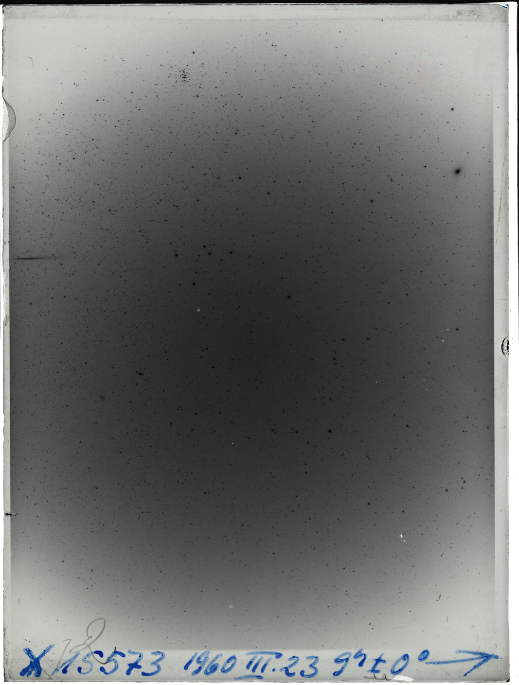 Plate preview