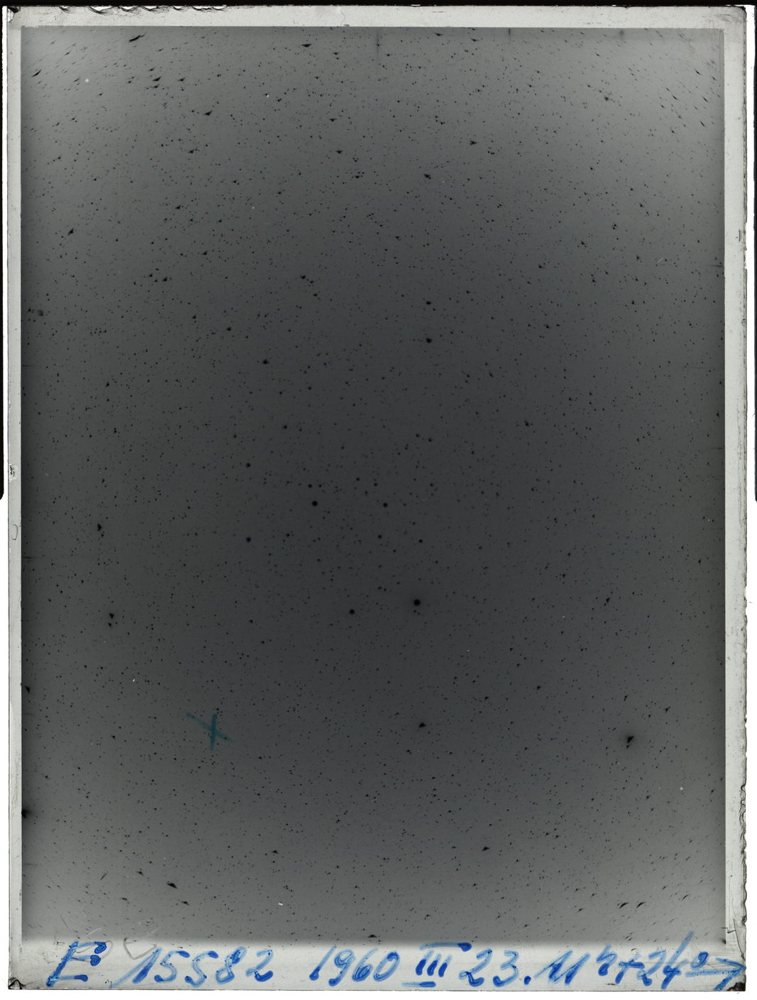 Plate preview