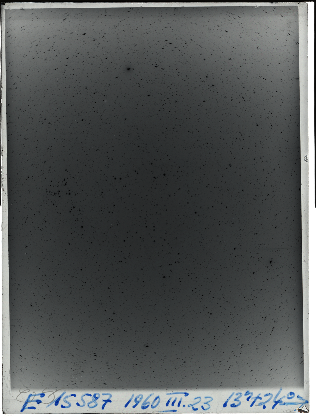 Plate preview