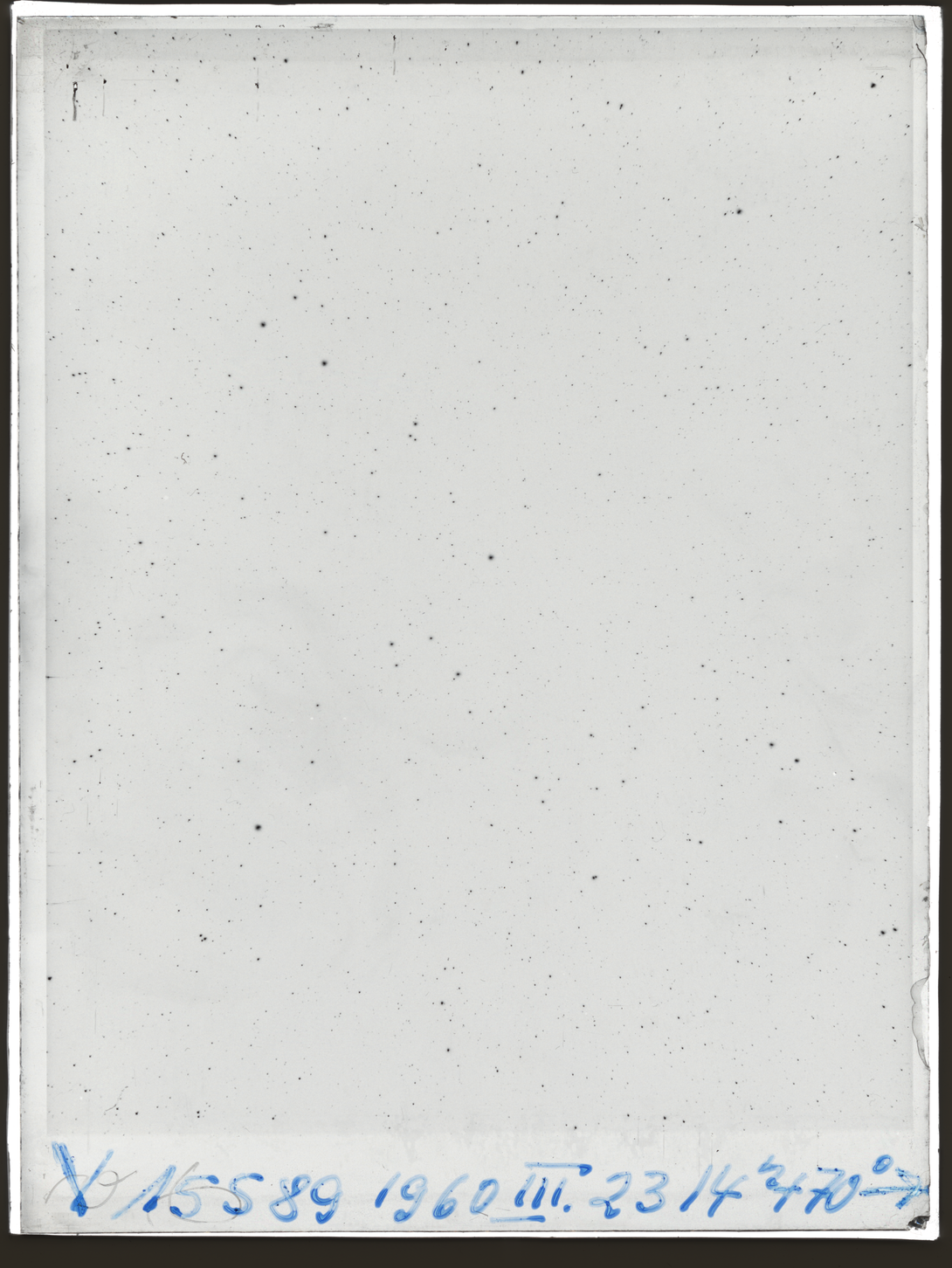 Plate preview