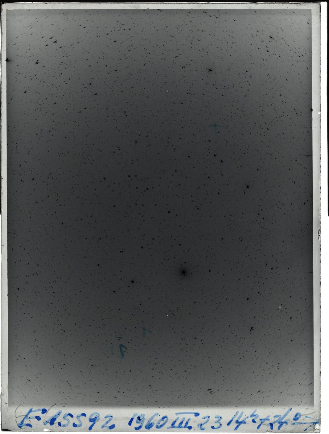 Plate preview