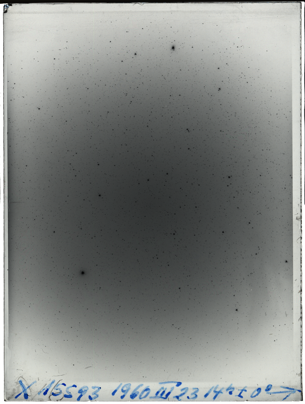 Plate preview