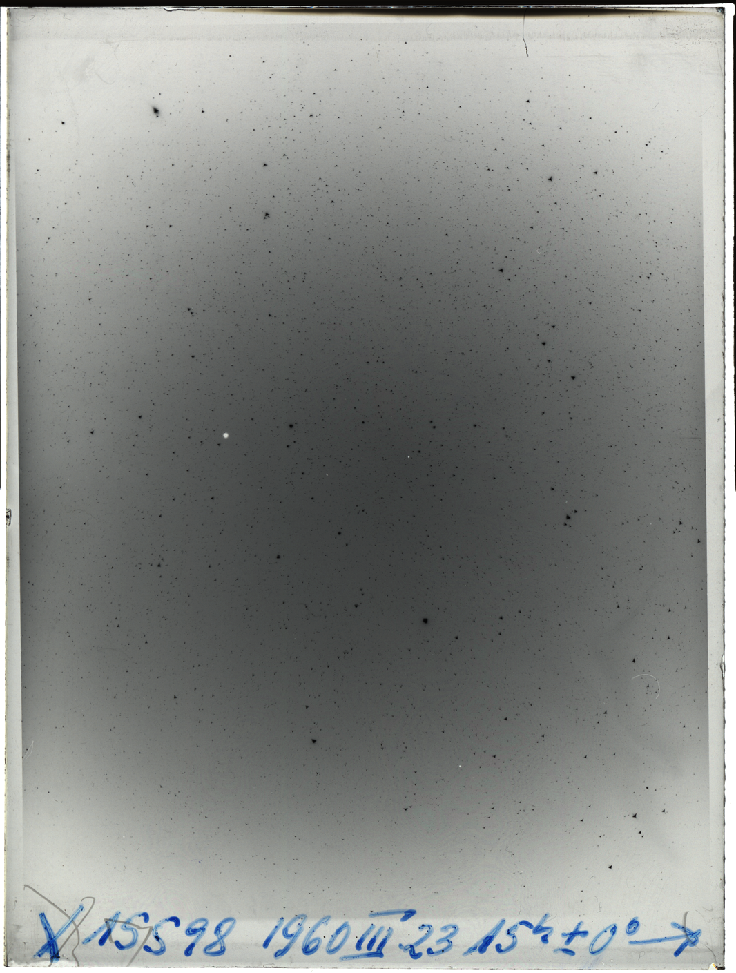 Plate preview