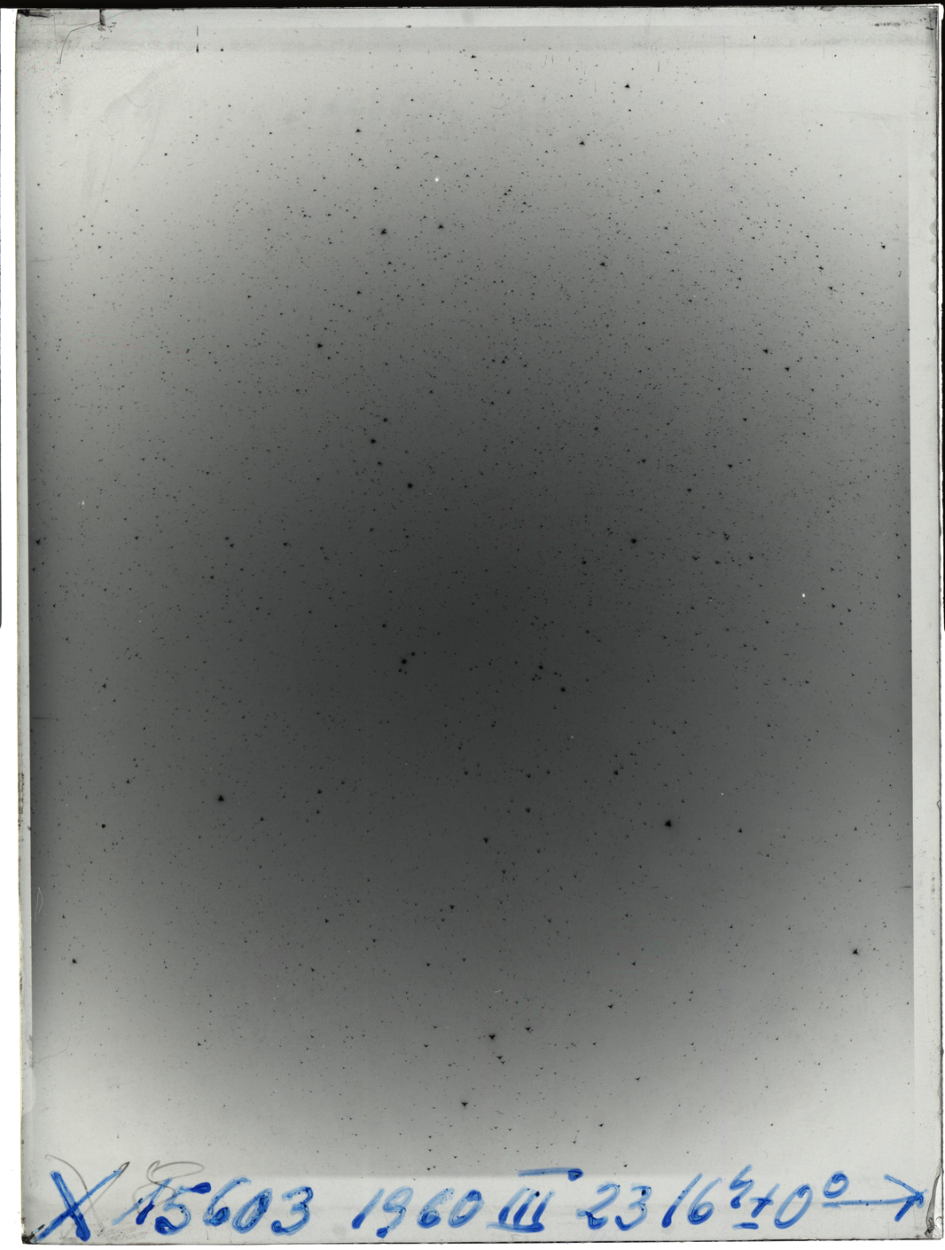 Plate preview