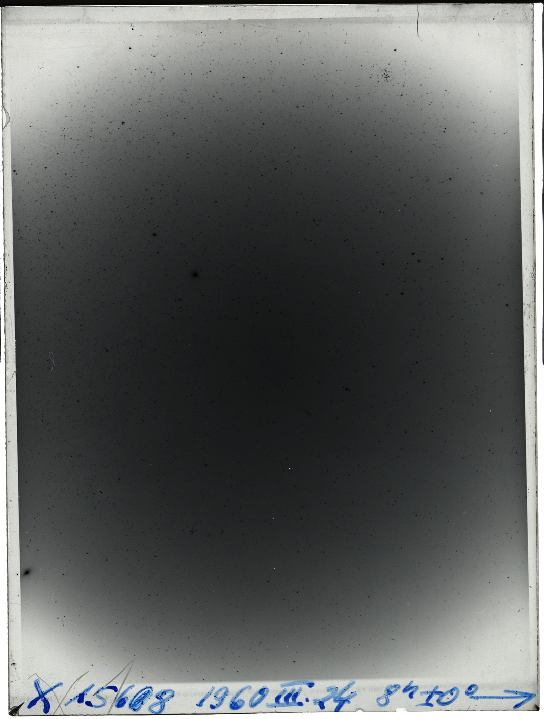 Plate preview