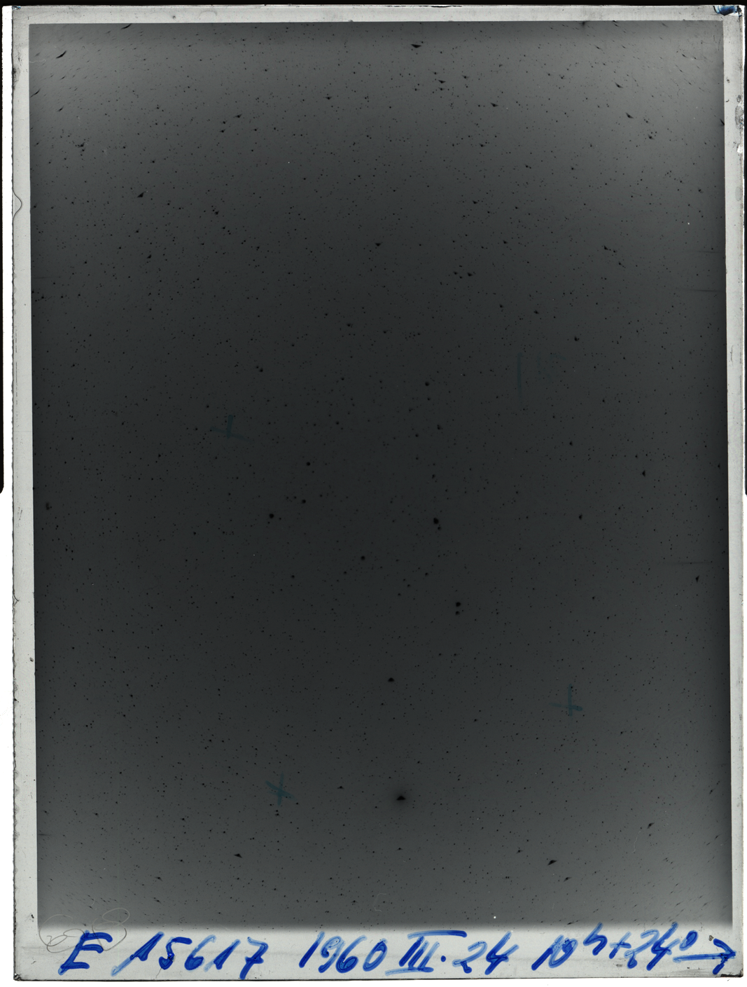 Plate preview