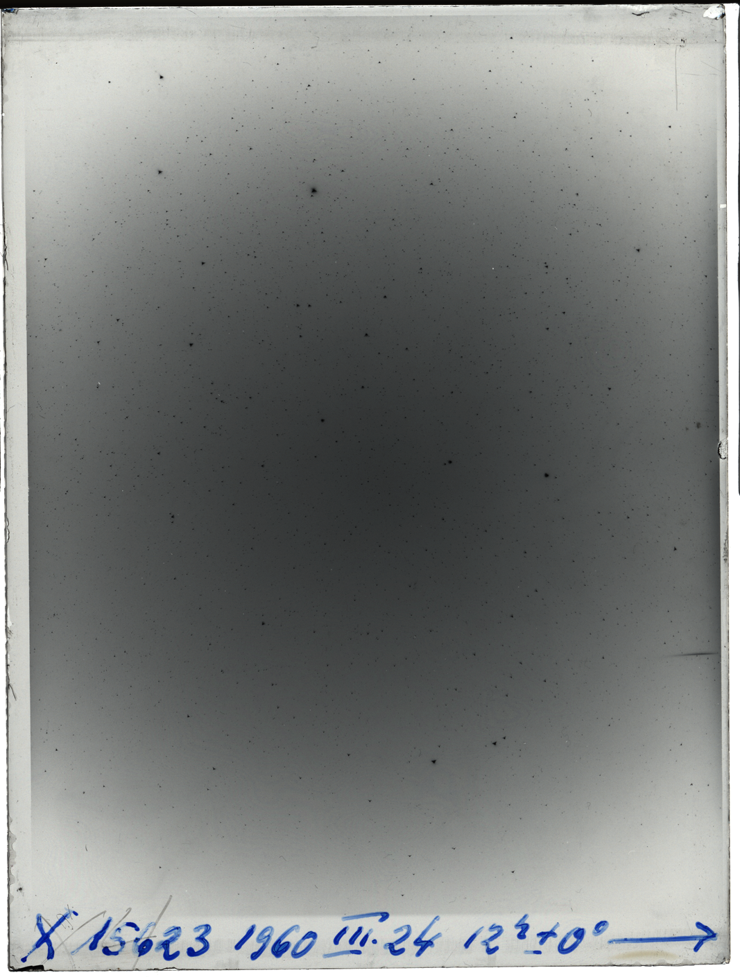 Plate preview