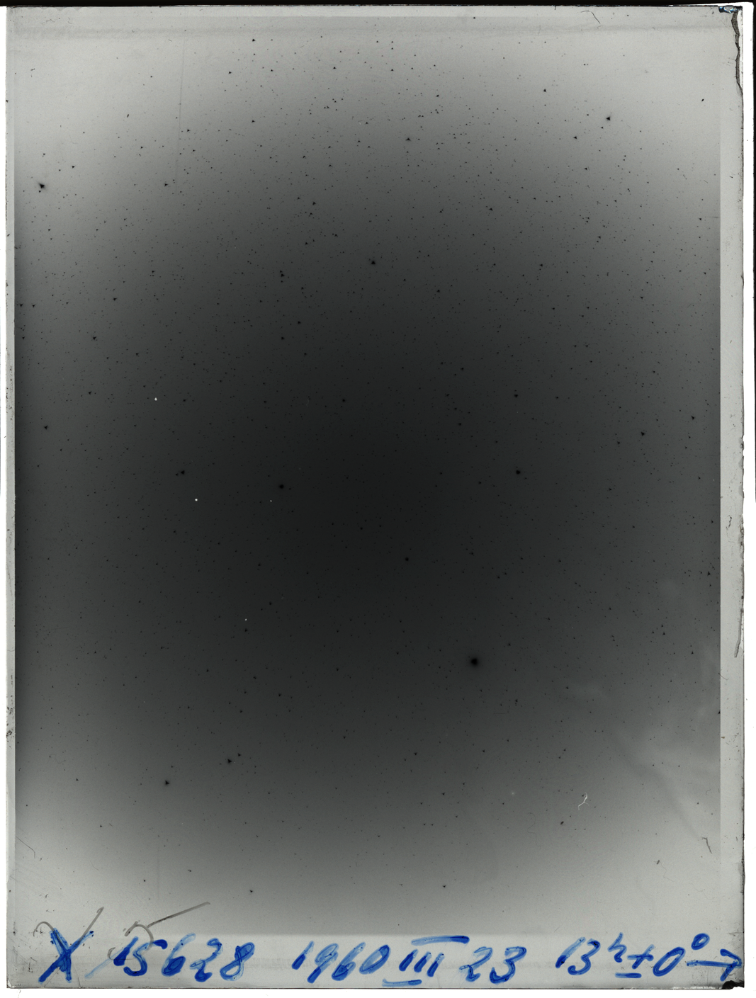 Plate preview