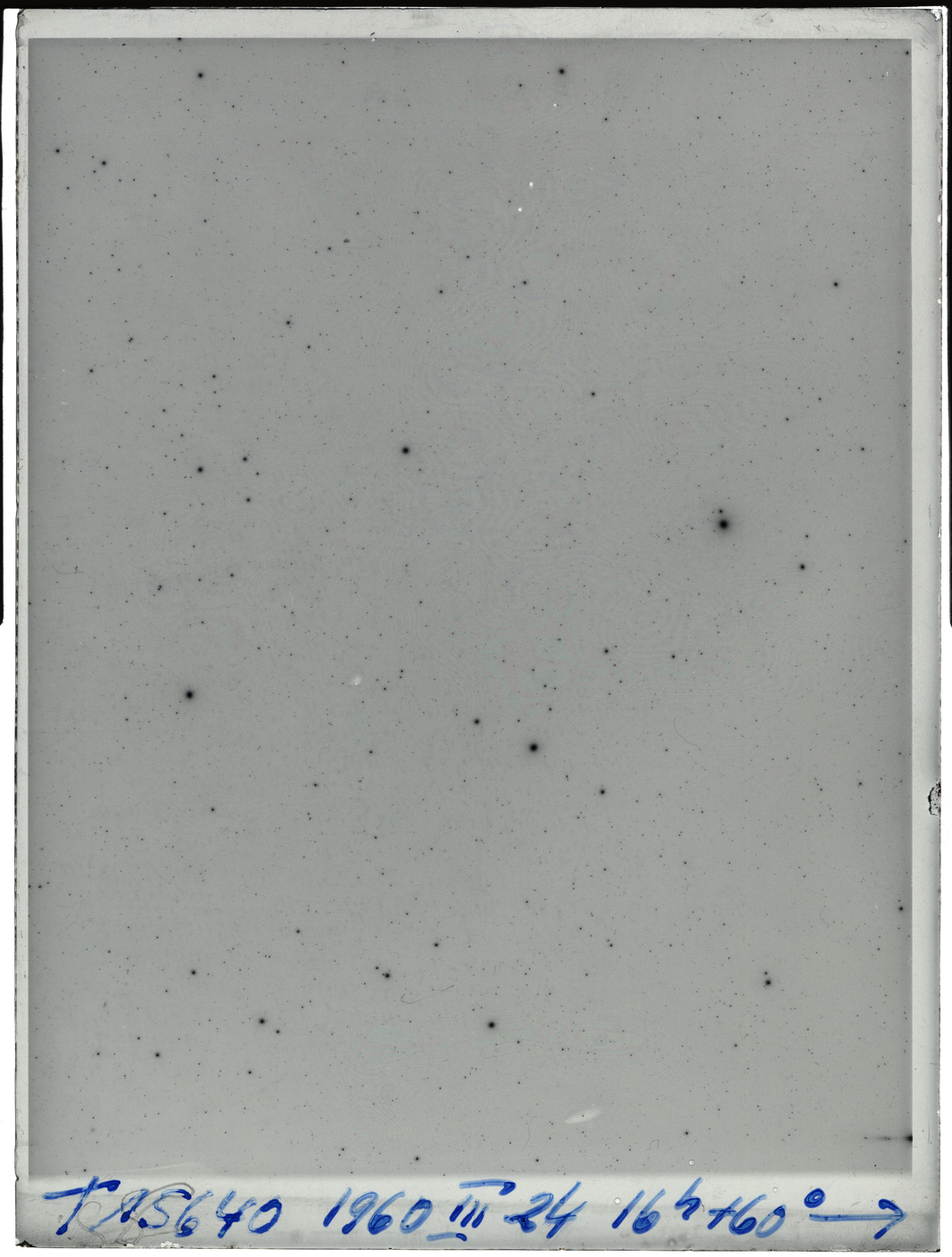 Plate preview