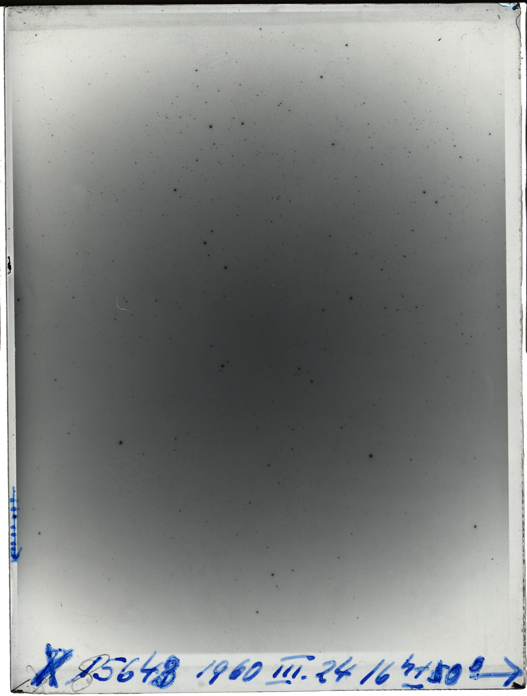 Plate preview