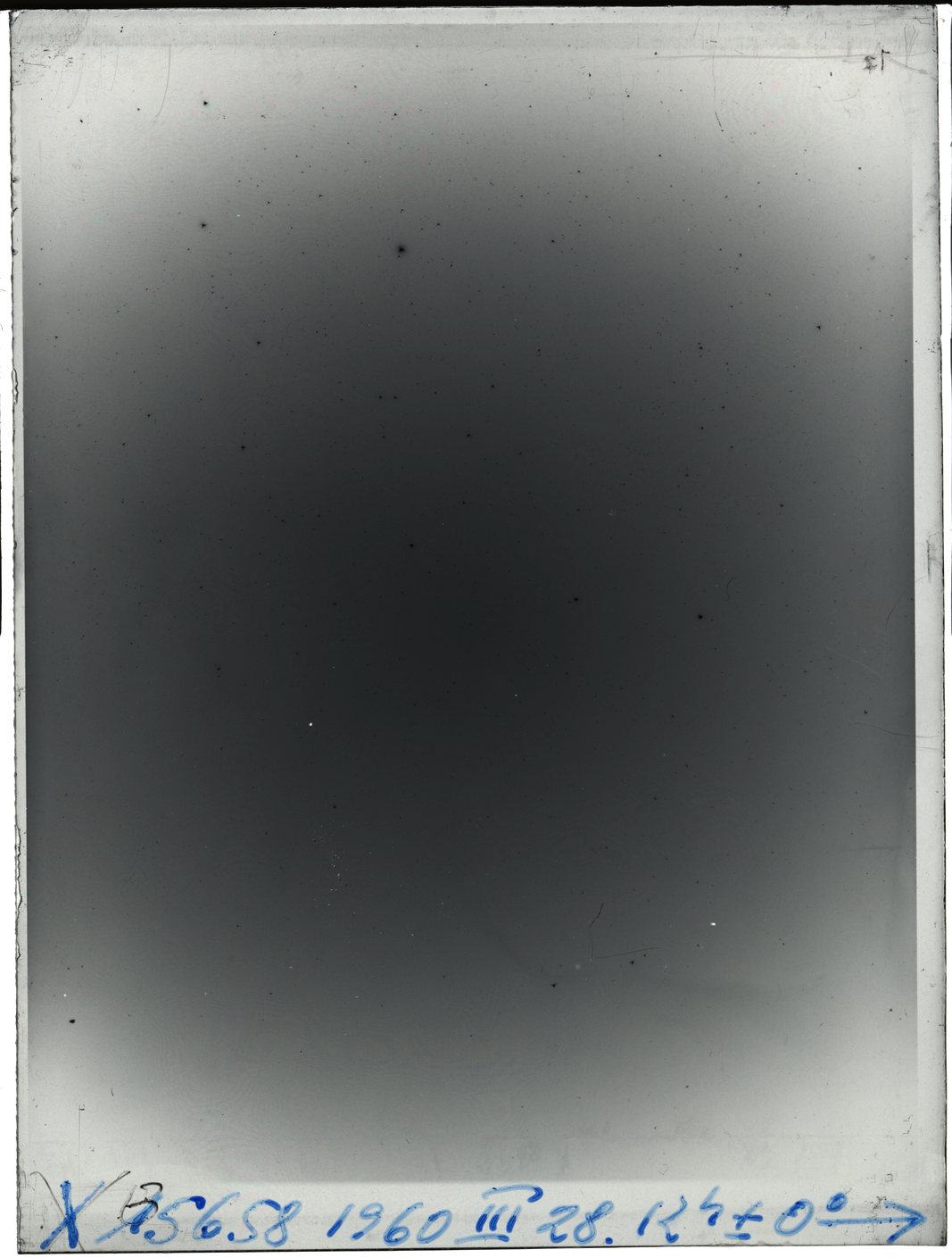 Plate preview