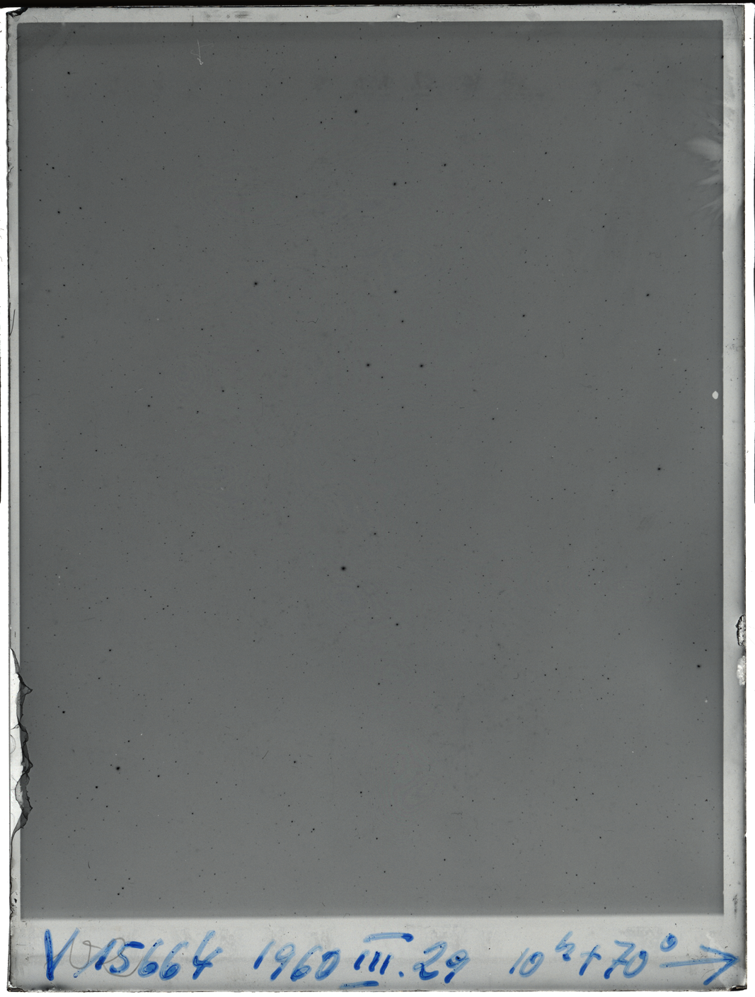 Plate preview
