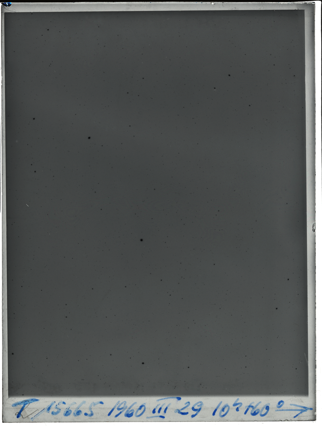 Plate preview