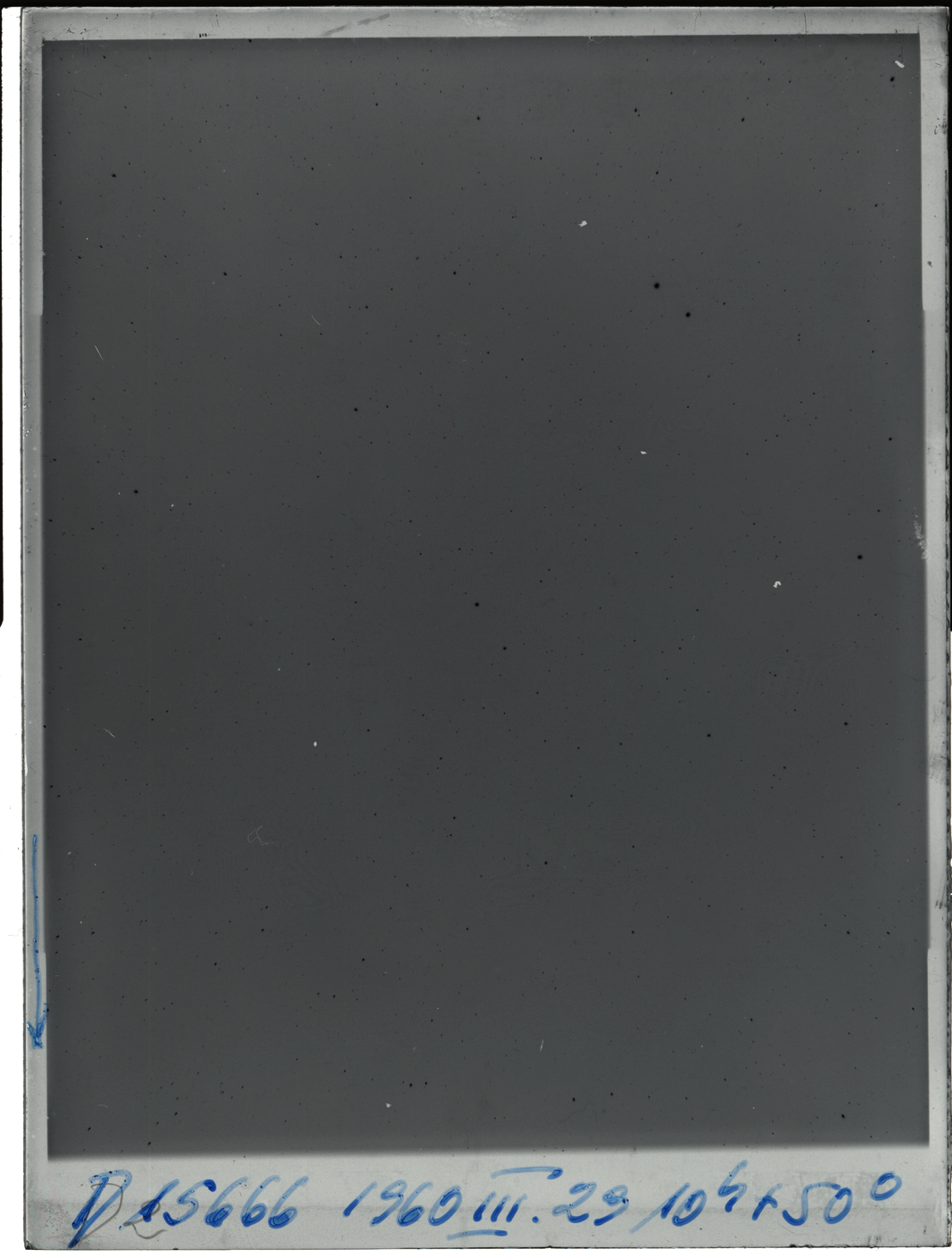 Plate preview