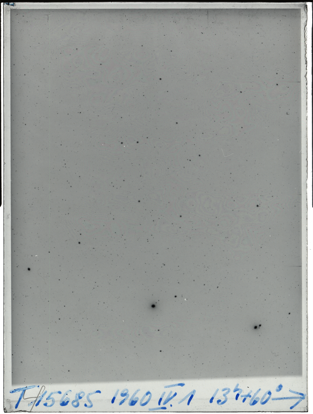 Plate preview