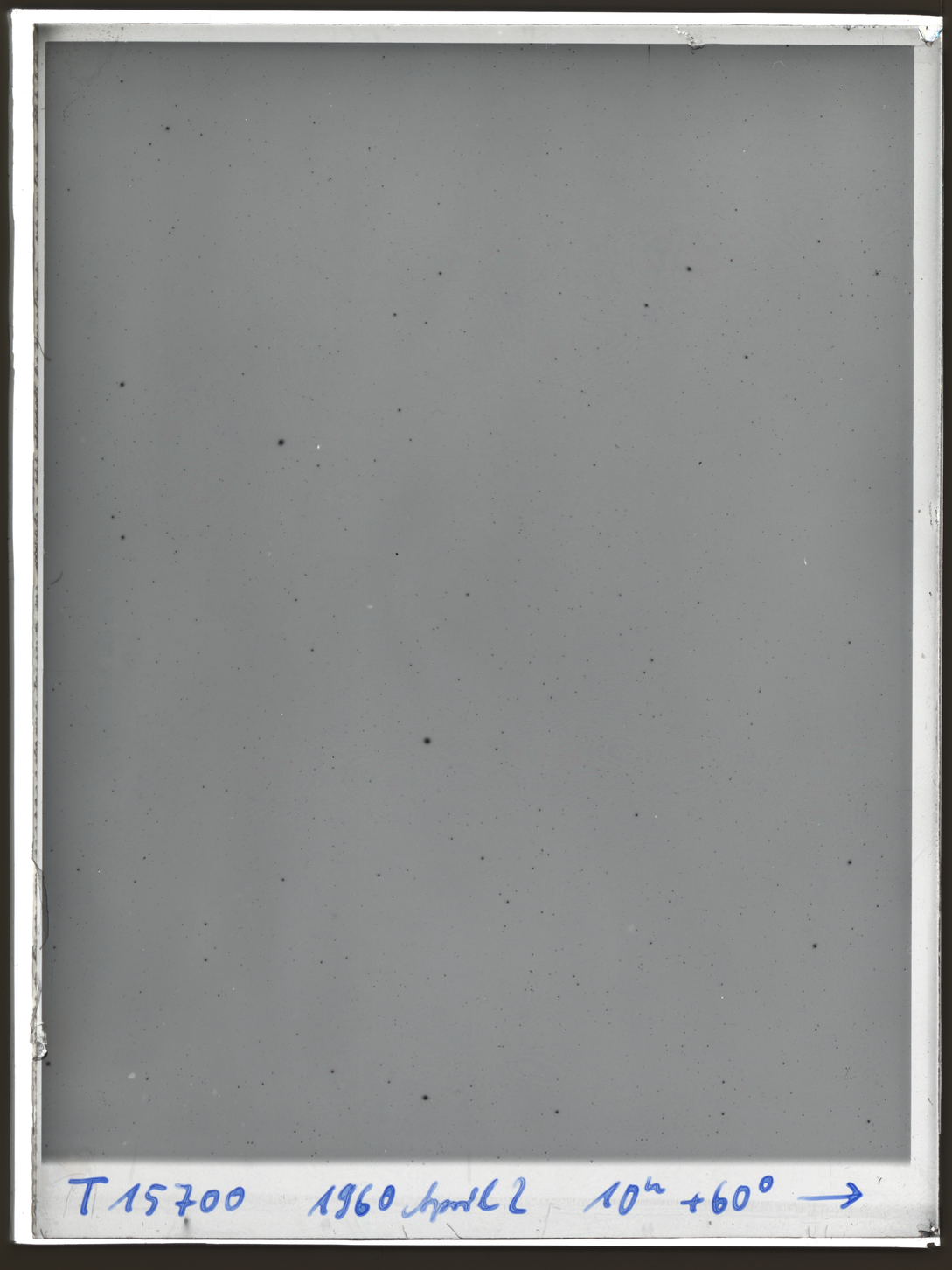 Plate preview