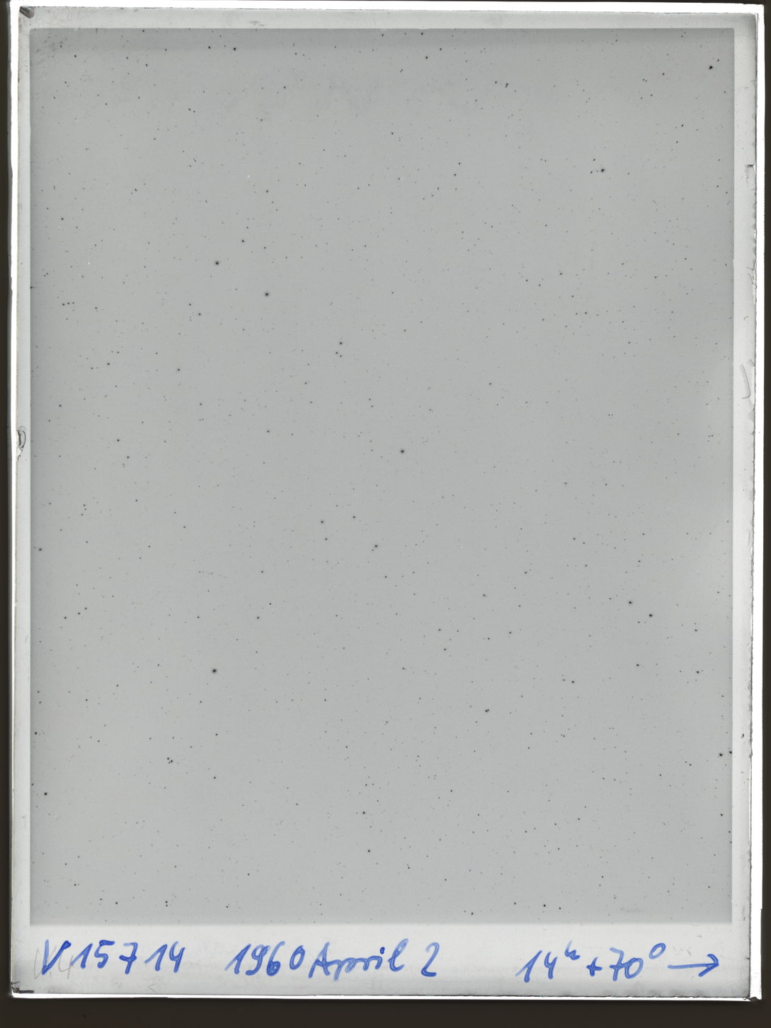 Plate preview