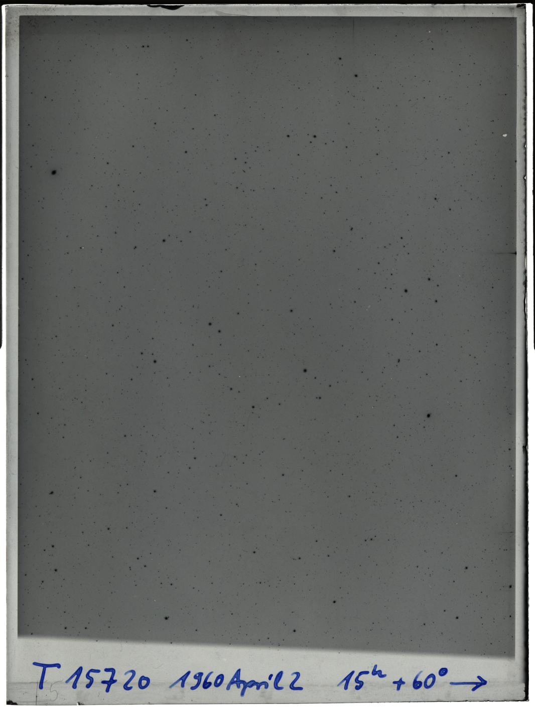 Plate preview