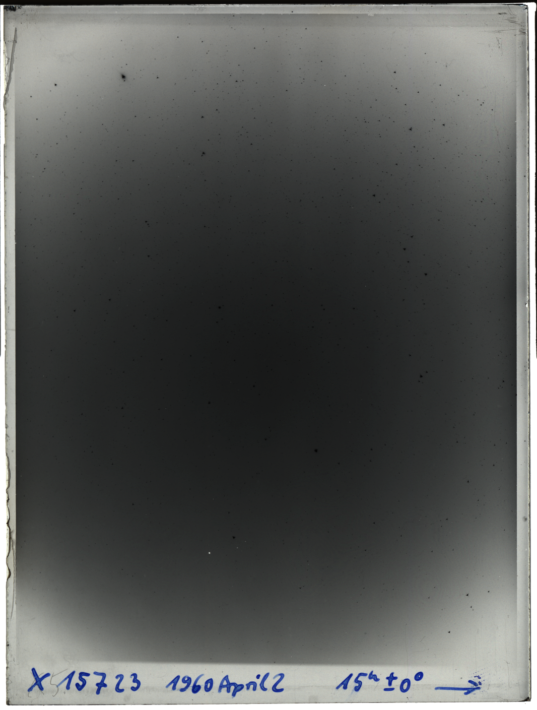 Plate preview