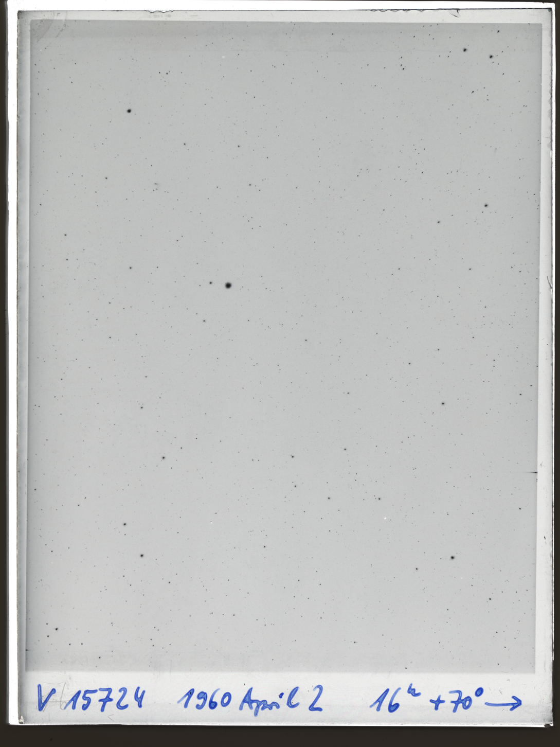 Plate preview