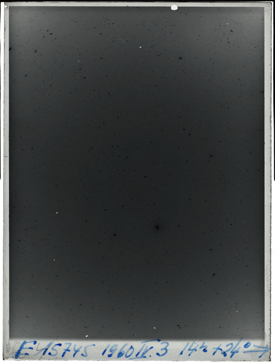 Plate preview