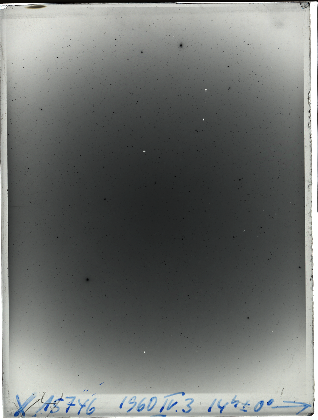Plate preview