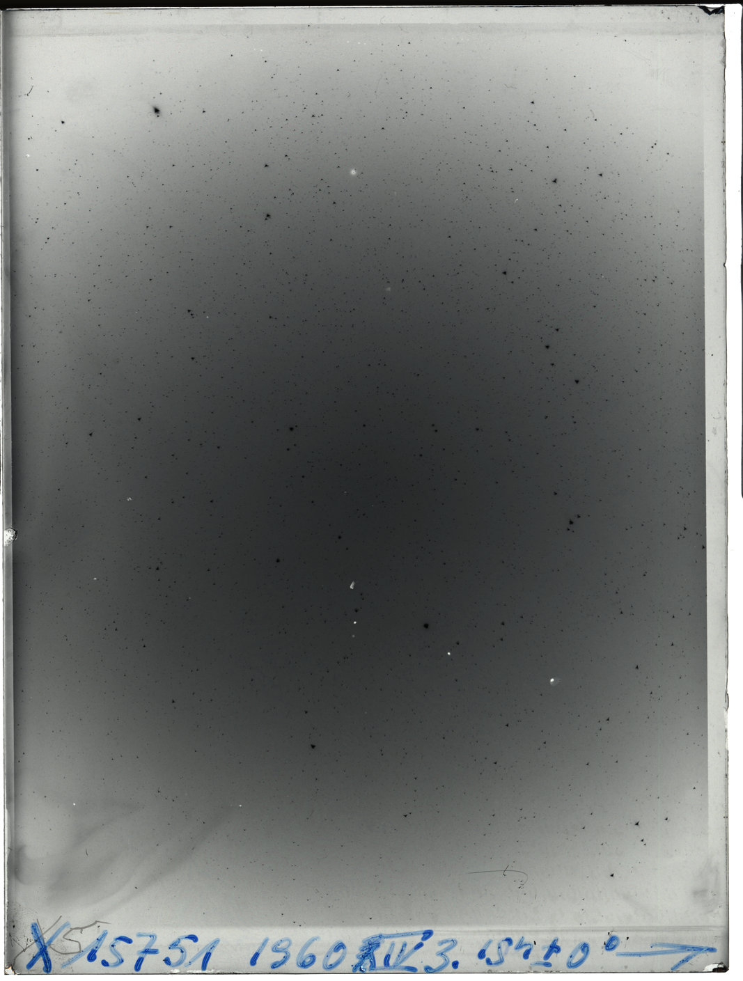 Plate preview