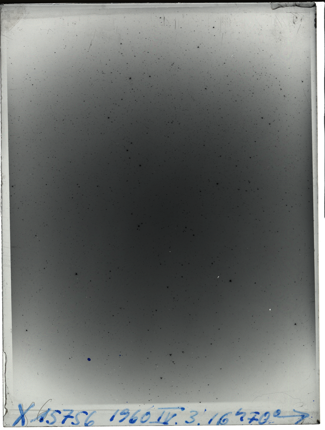Plate preview