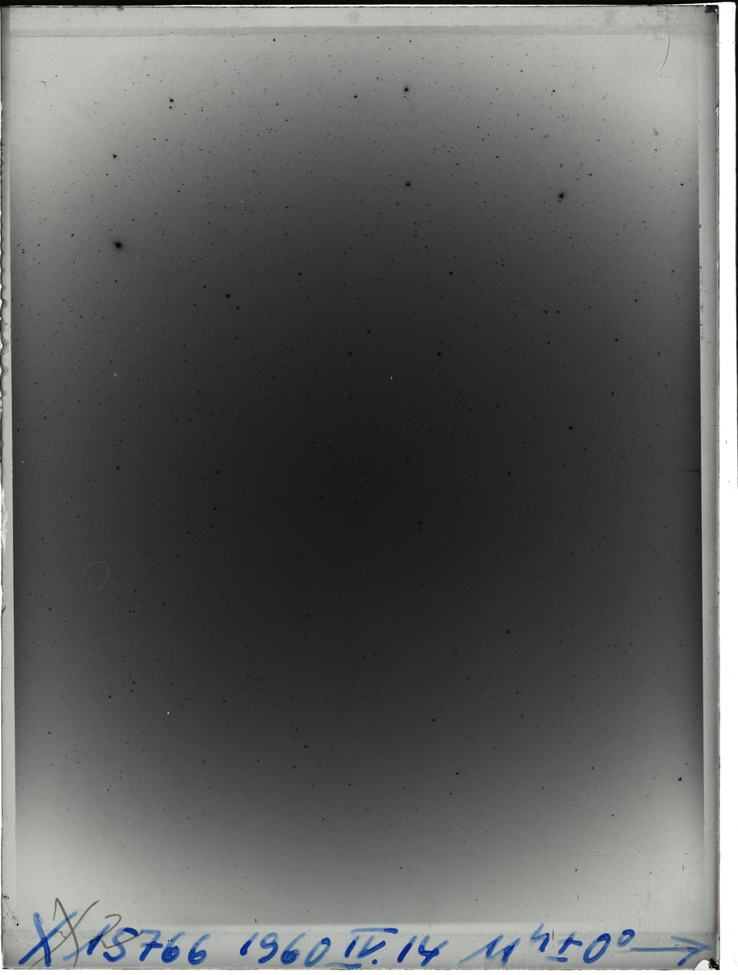 Plate preview