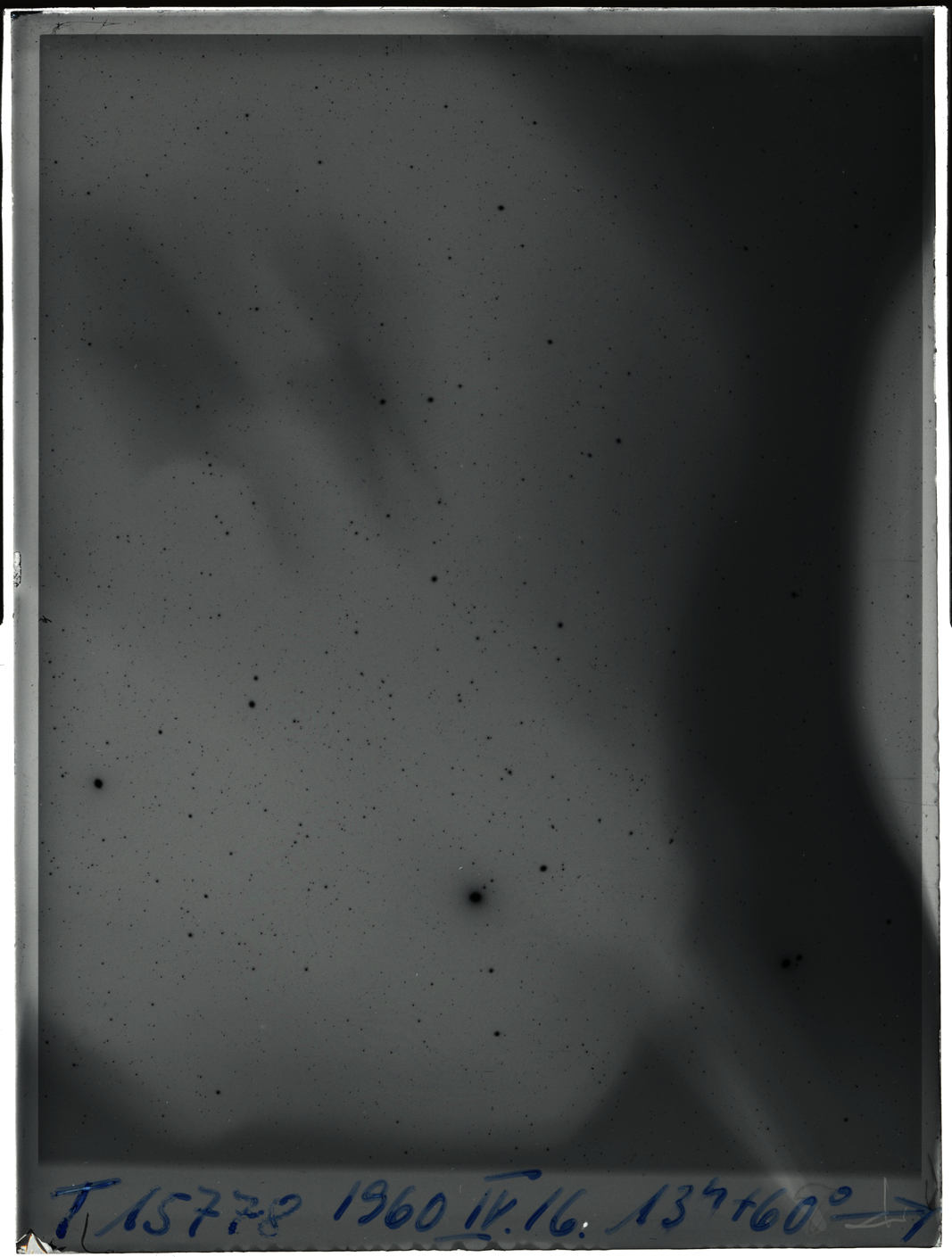 Plate preview