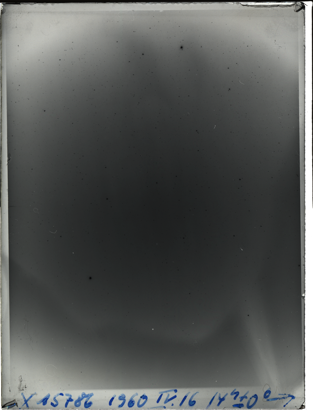 Plate preview