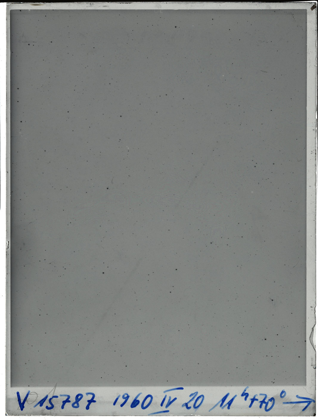 Plate preview