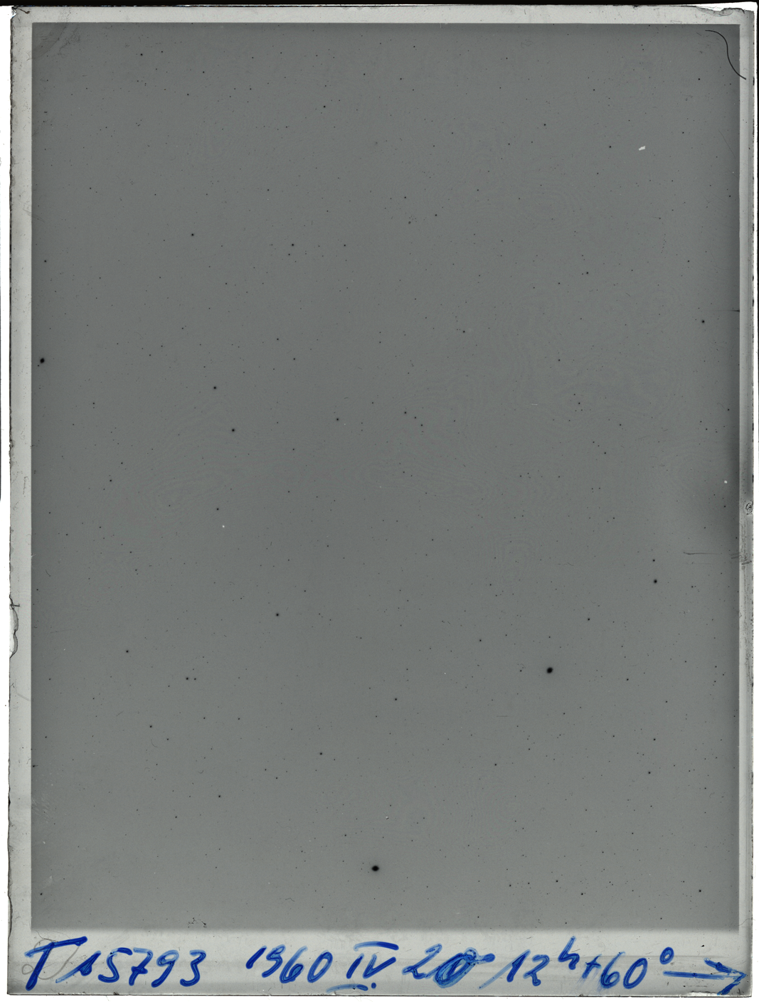 Plate preview