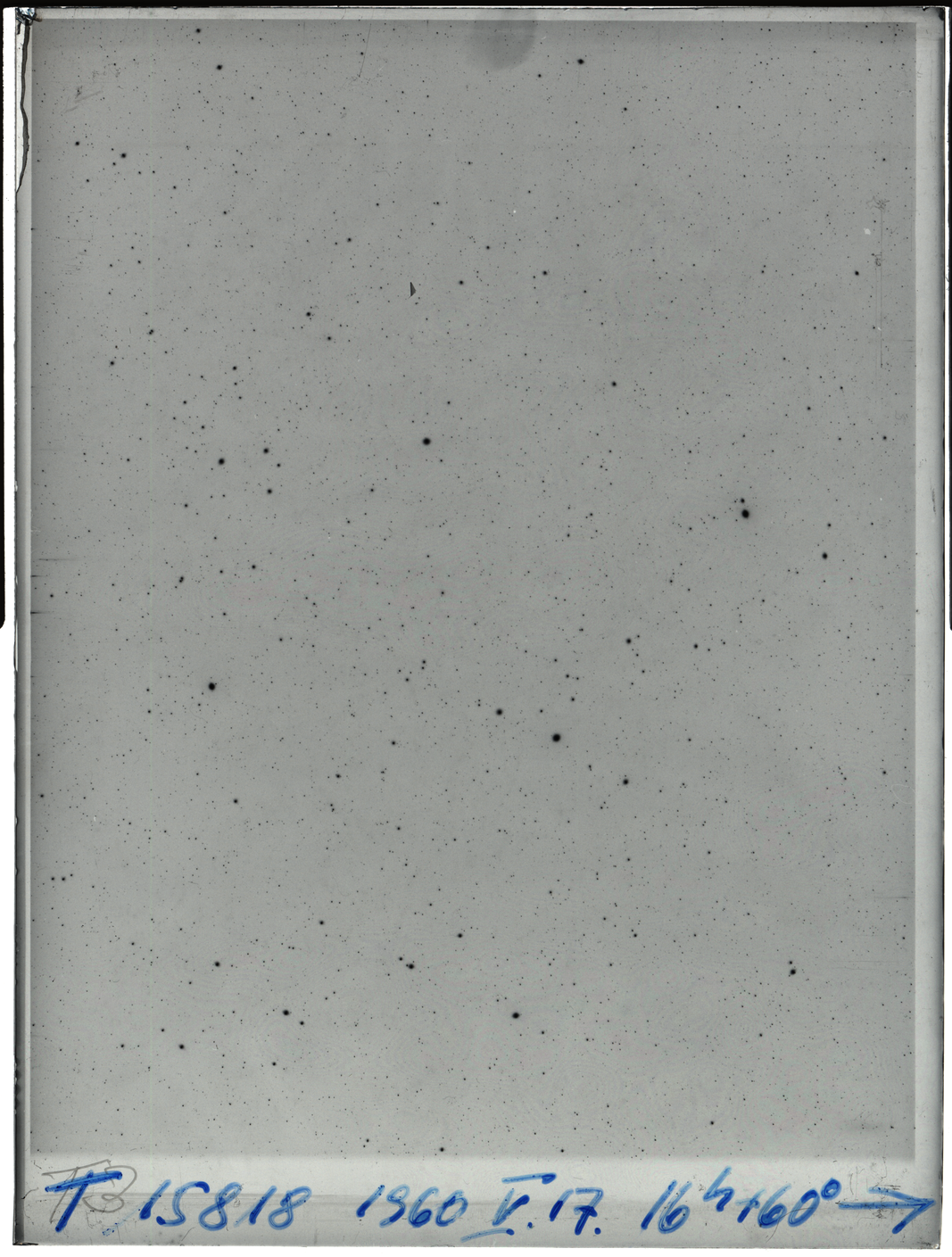 Plate preview