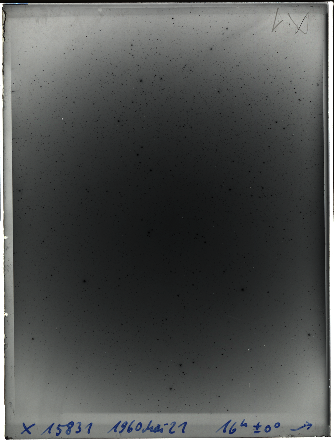 Plate preview