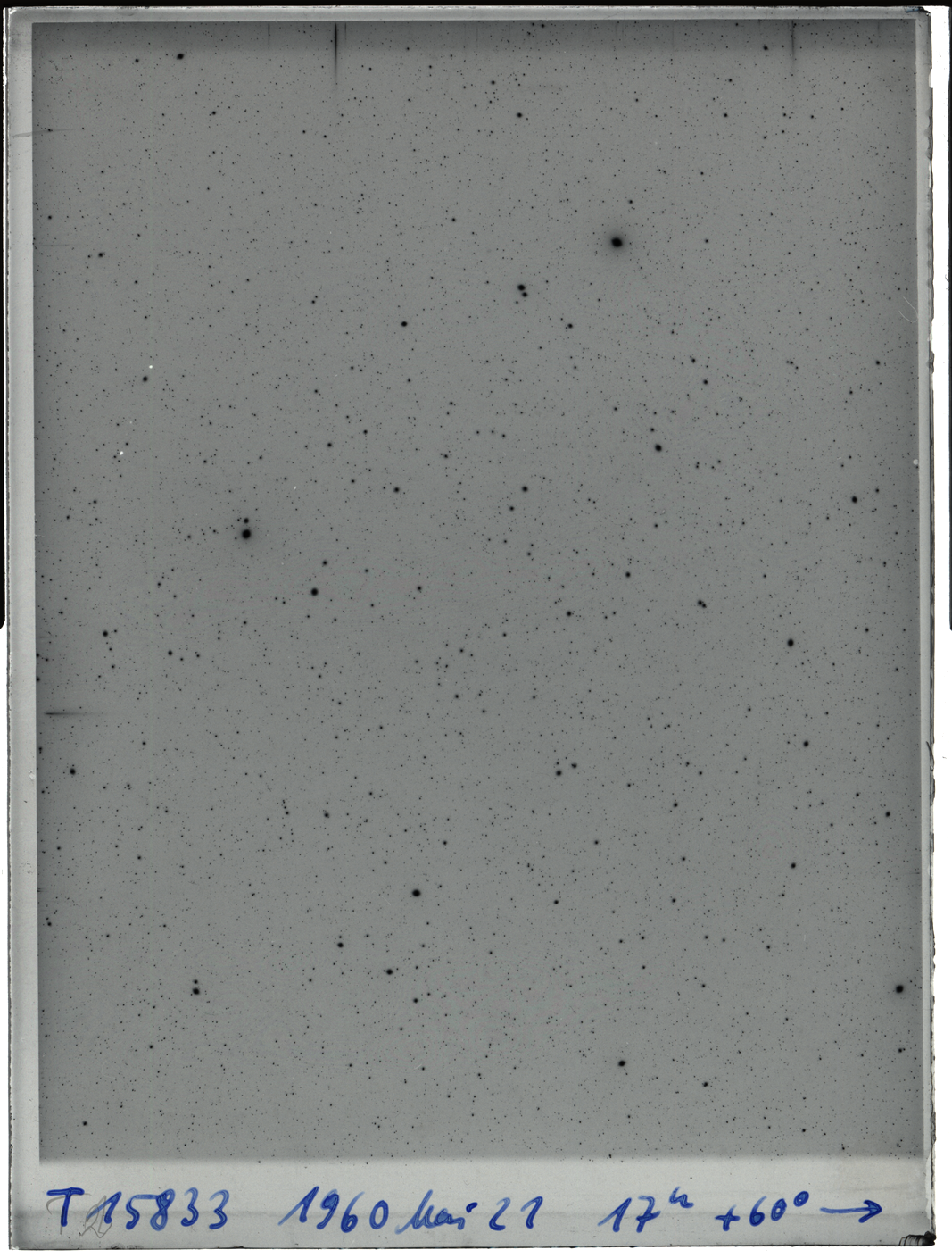 Plate preview