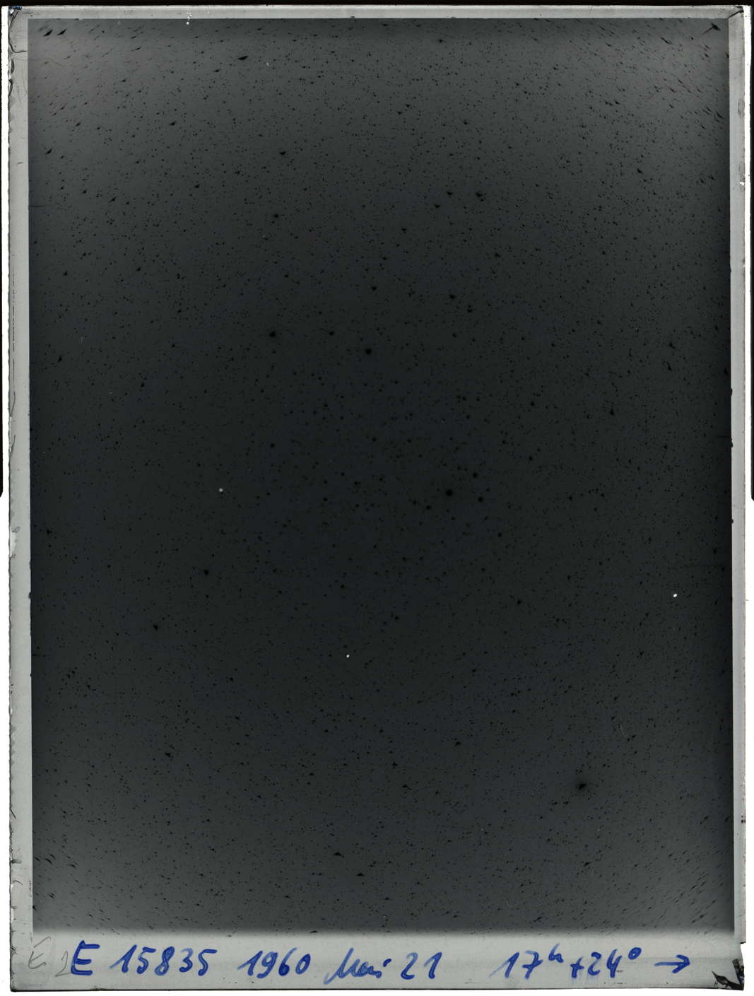 Plate preview