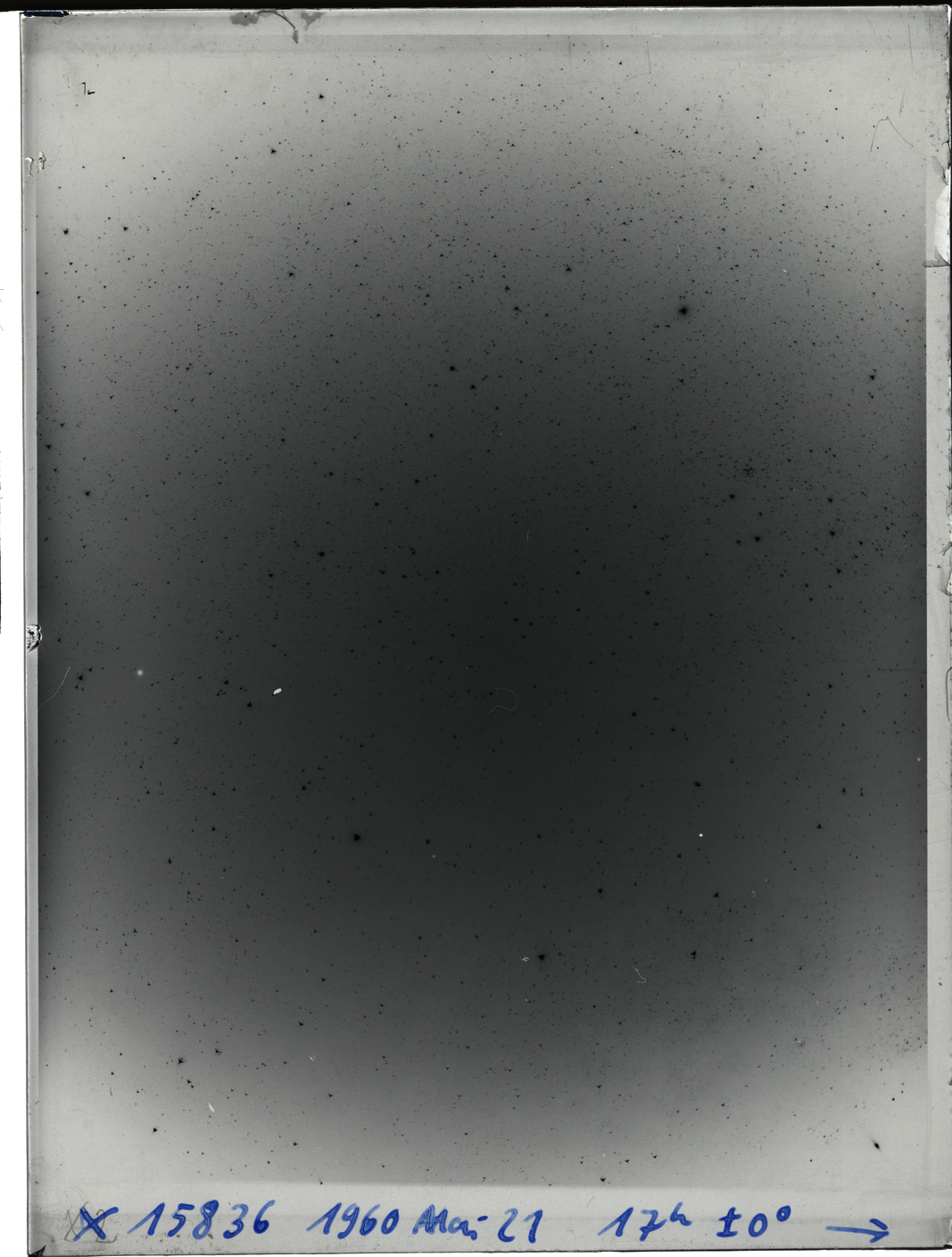 Plate preview