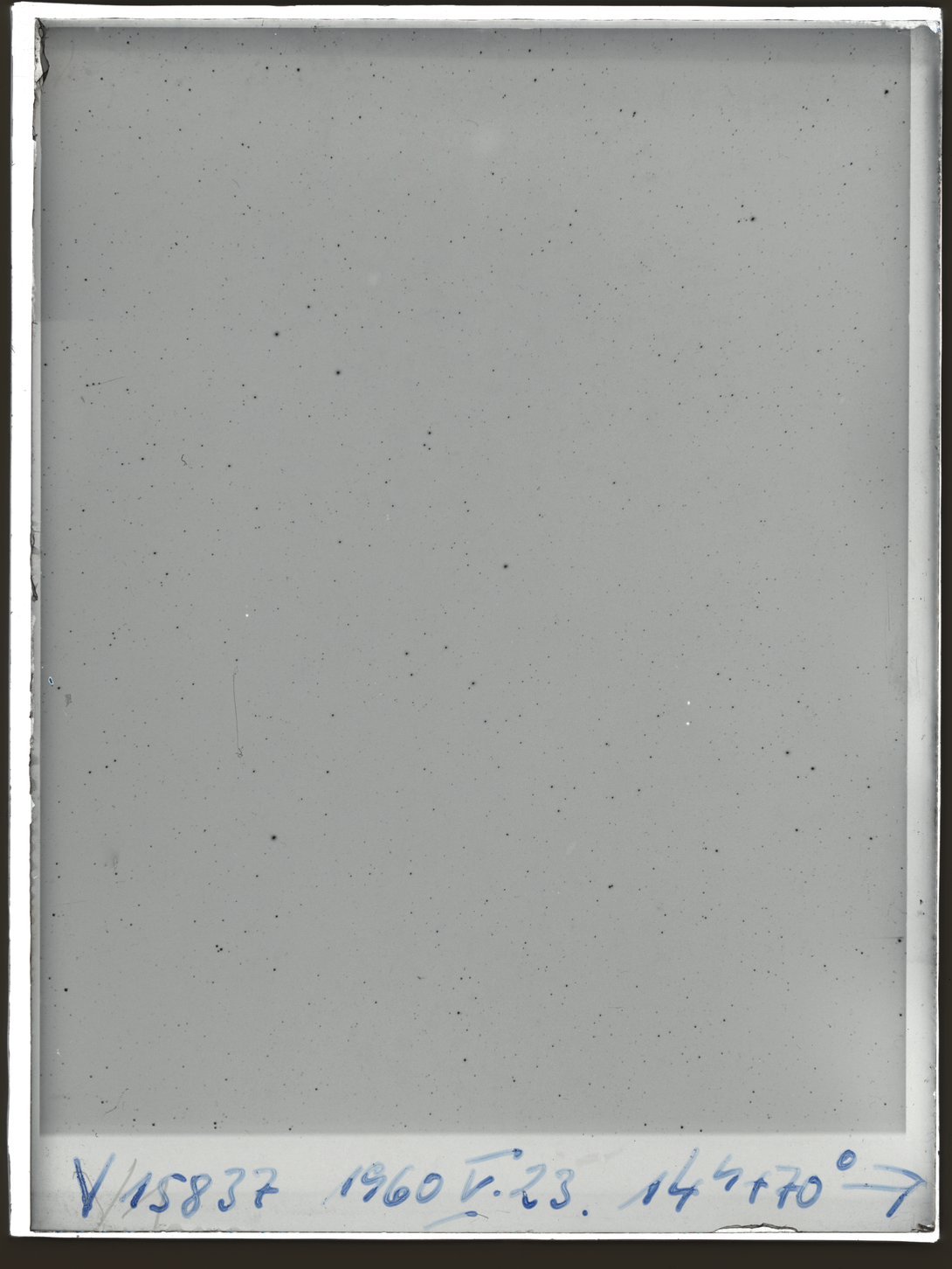 Plate preview