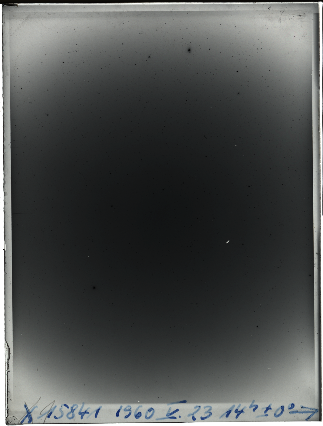 Plate preview