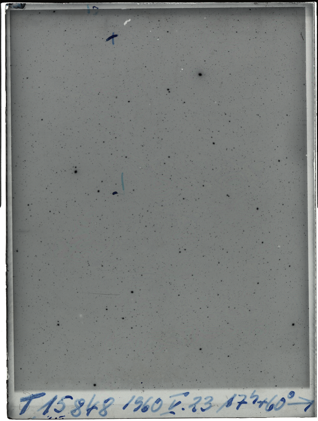 Plate preview