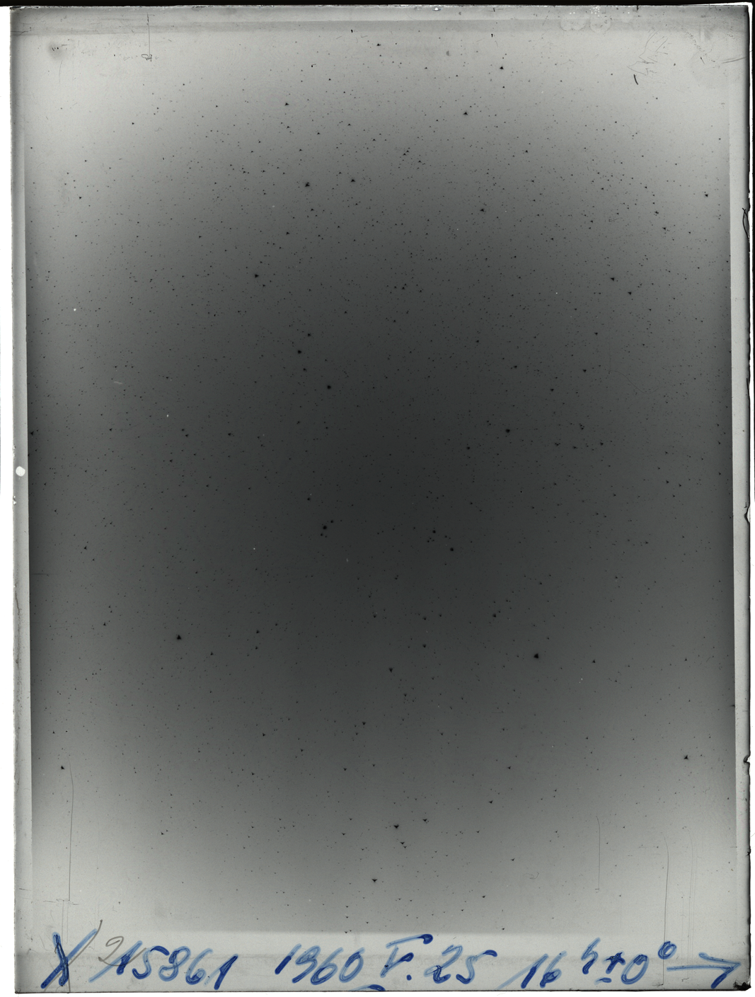 Plate preview